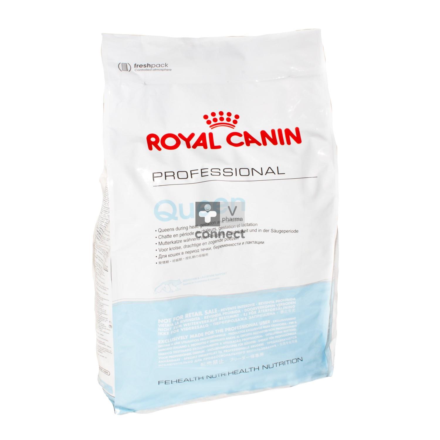 Royal top canin queen