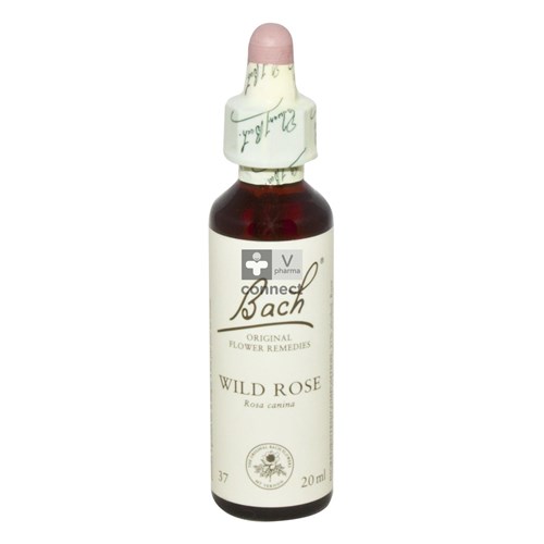 Bach Flower Remedy N.37 Eglantier  20ml