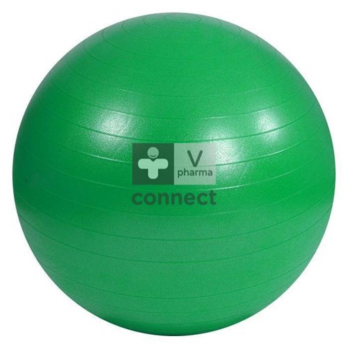 Abs Ballon Exercice 65 Cm Vert Lgb7402