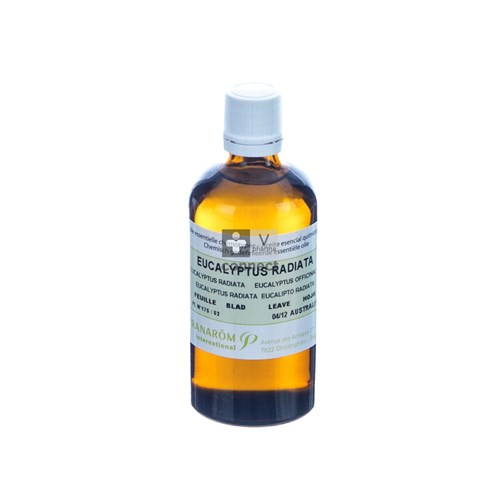 Eucalyptus Radiata Ess Olie 100ml Pranarom