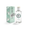 Roger-Gallet-The-Vert-Eau-Parfumee-100-ml.jpg