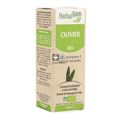 Herbalgem Olijfboom Maceraat 15ml