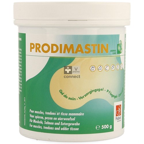 Prodimastin Verzorgingsgel 500g