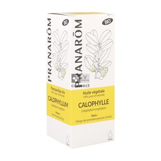 Pranarom-Bio-Calophylle-Huile-Vegetale-50ml.jpg