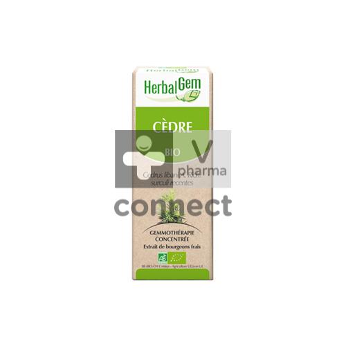 Herbalgem Libanonceder Maceraat 15ml