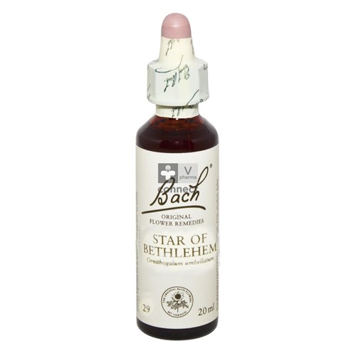 Bach Flower Remedy N.29 Ornithogale 20 ml