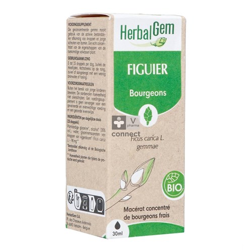 Herbalgem Vijgenboom Bio 30ml