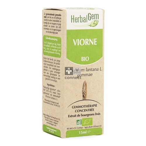 Herbalgem Wollige Sneeuwbal Maceraat 15ml