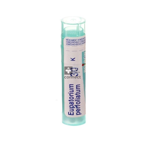 Eupatorium Perfoliatum Granules 30K Boiron